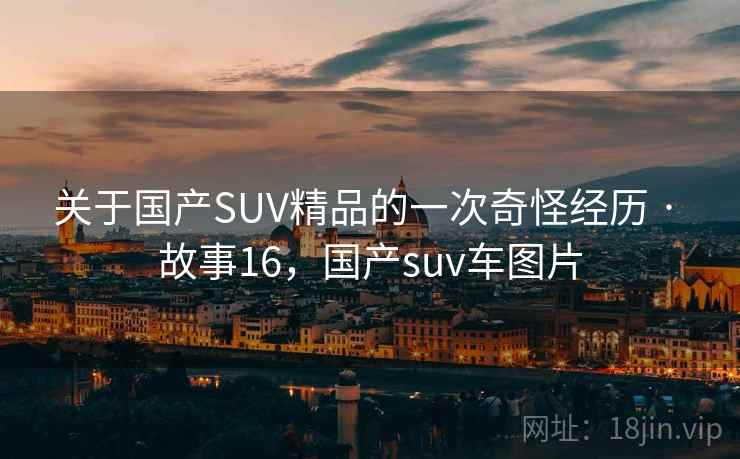 关于国产SUV精品的一次奇怪经历 · 故事16，国产suv车图片