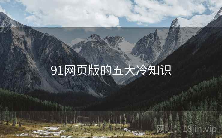 91网页版的五大冷知识