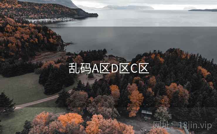 乱码A区D区C区